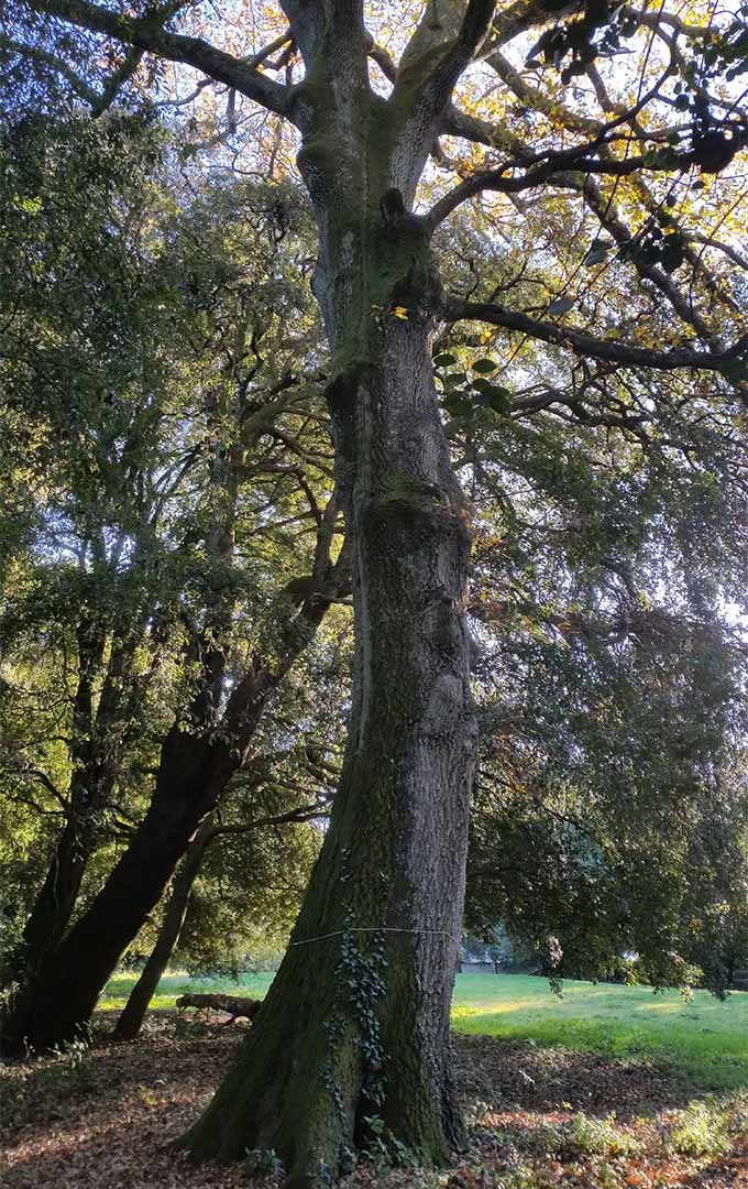 Parco Altieri Oriolo Romano